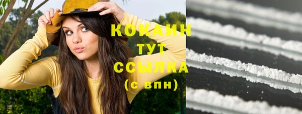 дживик Осинники