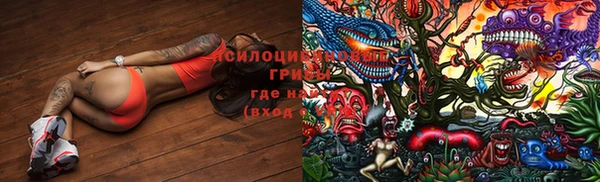 дживик Осинники