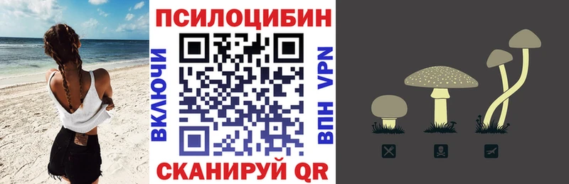 Купить где  Никольское  Галлюциногенные грибы Psilocybine cubensis 